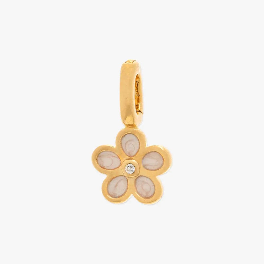 Interchangeable accessory necklace set